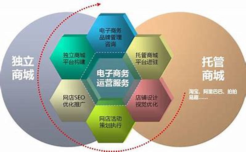 工具推荐类：深度剖析最新电商服务平台，带你走进满意无终点的商业世界