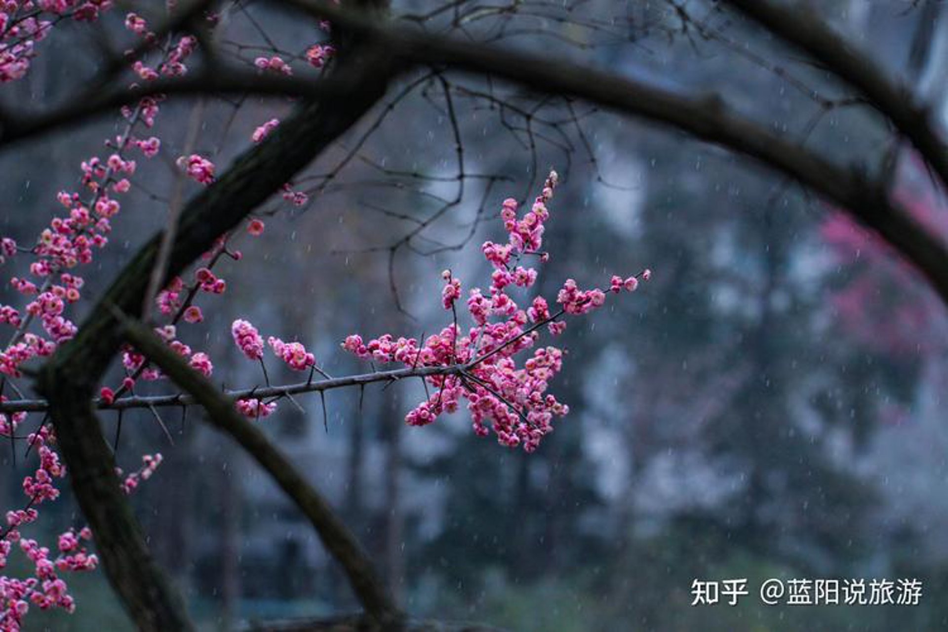 素阳电商