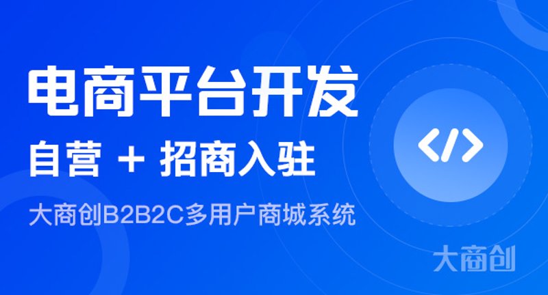 新余素阳电子商务有限公司：引领电商新潮流的创新者